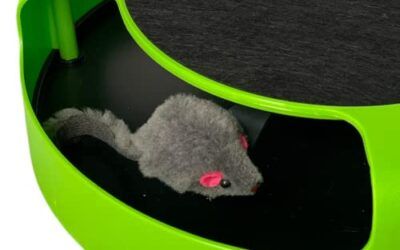Mr Simon The Cat Juego Catch The Mouse, Juguete Interactivo para Gatos, Atrapa Movimiento del Raton Peluche, Gatos Accesorios Mascota Interactiva con Alfombra Rascador para Gato