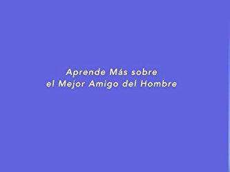 Libros de Perro: 101 Asombrosos Datos sobre Perros: Libros de Perro para niños (Libros de Perro en Español)