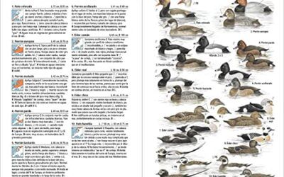 Aves de Europa: Todas las aves europeas en 1700 ilustraciones