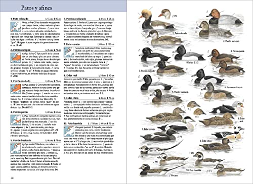 libros aves