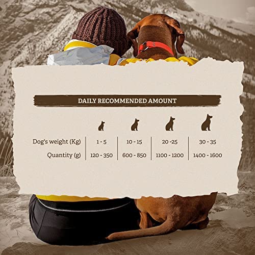 Traveness Comida Húmeda para Perros de Salmón con Arándanos (6 x 400 gr.)