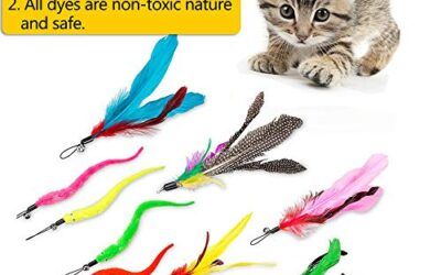 DIWUJI 12 PCS Juguete Pluma de Gato Interactivo, 2 PCS Varita Retráctil y 10 PCS Plumas de Recambio con Campana, Juguete de Cazador de Gatos Interactivo Varita para Ejercitar Gatos y Gatitos