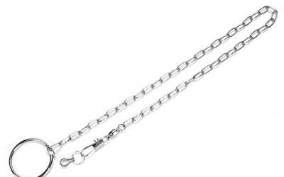 Sheens Cadena de pie de pájaro de Acero Inoxidable con Anillo Accesorios de Anillo de pie de Tobillo Parrot Anti Escape(Grey Parrot)
