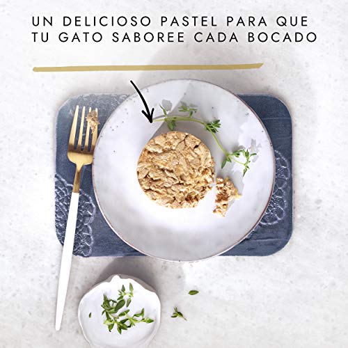 Purina Gourmet Gold Tartalette comida para gatos con Pollo y Zanahoria 24 x 85 g