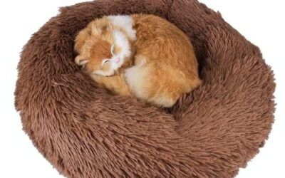 Cama para Gatos mullida TUOYX, Cama para Gatos Lavable, Cama de algodón PP en Forma de rosquilla, Fondo Antideslizante, Adecuado para Perros y Gatos pequeños y medianos. (40cm, marrón)