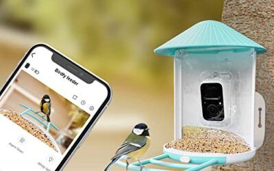 Netvue Birdfy Lite- Comedero Pajaros Inteligente con Cámara, Comedero Pajaros Exterior, Captura Automática de Videos de Aves, Comedero Inteligente para Pájaros con Aplicación (Solo Birdfy)