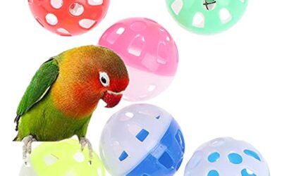 CHSEEO Set de 7 Juguetes de Entrenamiento de Aves Juguete de Rompecabezas de Bloques de Madera Entrenamiento de Loros Juegos de Loro Jugando de Pie para Loros, Periquitos, Conures, Cacatúas