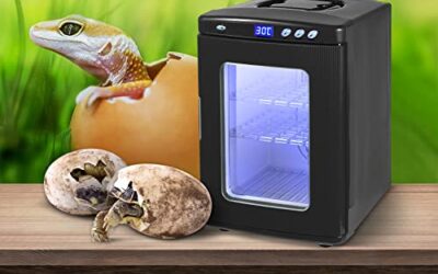 VEVOR Incubadora Automática para Reptiles o Anfibios Incubadora de Huevos 25L Incubadora Digital Incubadora Digital con Control de Temperatura Nacedora Criadero Termostato Incubadora