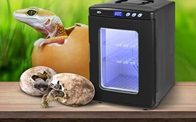 Happybuy – Incubador de Reptil (25 L, 2 a 60 °C, 12 V/110 V, para Reptiles pequeños), Color Negro