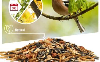 wildtier herz I Alimentación para Pájaro – 5kg con Insectos – Comida de Aves para Alimentos, Proteína Extra