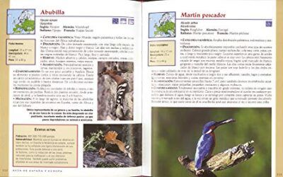Aves de España y Europa (Vida verde)