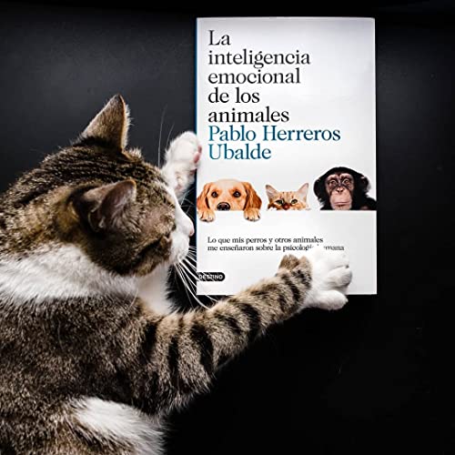 La inteligencia emocional de los animales: Lo que mis perros y otros animales me enseñaron sobre la psicología humana (Imago Mundi)