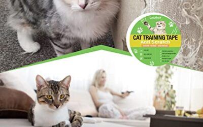 Lewondr Protector de Muebles Gatos, 20*300cm Adhesivo Protector Sofa Gatos Arañazo, Transparente Protectores de Sofa para Gatos con 30 Tornillos, Fácil de Instalar para Proteger Puerta Mesa Armario
