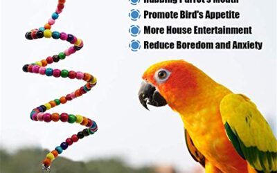 Juguetes para Masticar Loros, 10 Piezas Juguetes para Pájaros Accesorios, Juguete Colgante para Mascotas con Campanas, Columpios, Juguete de Masticación para Pequeños y Medianos Loros de Aves