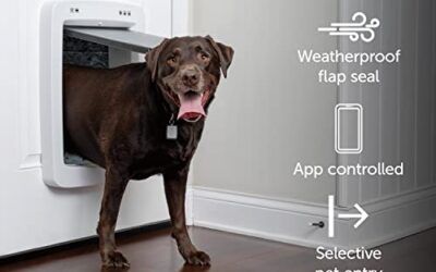 PetSafe SmartDoor – Puerta para Perros y Gatos Inteligente, Gatera de Entrada y Salida Selectiva, Funciona con App, Control por Smartphone, Horario Personalizable, Compatible con Varias Mascotas – L