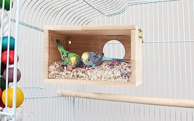 YSQEVN Caja de Nido de Pájaros de Madera Nido Cría para Aves Natural Cálido Duradero Tamaño Pequeño Accesorios para Periquitos Loro Agapornis Cacatúa Ventana de Clara 19.3×11.8×11.8cm