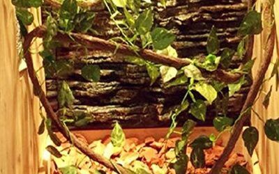 PINVNBY Hamaca de dragón barbudo, hojas de reptil, tanque de lagarto, accesorios de decoración de hábitat, vides artificiales de escalada con ventosas para serpientes camaleón gecko