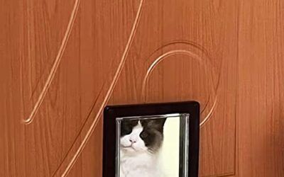 Moaobooh Gatera para Gatos, gatera para Cristal, Entrada y Salida controlables, Apta para Gatos y Perros de pequeño tamaño