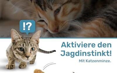 PetTec® Juguete Interactivo Eléctrico para Gatos para Autoentretenimiento – Juguete de Pájaro Móvil para Gatos con Hierba Gatera – Juguete Interactivo para Gatos – Juguete Automático para Gatos