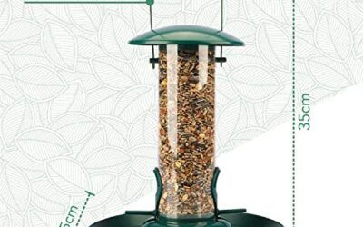 WILDLIFE FRIEND Comedero para pájaros en fomra de Columna, Comedero para Granos con Plato XL, Verde, Comedero colgable con Lugar para posarse, Provee de alimento a pájaros Silvestres Todo el año
