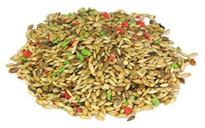 Arquivet Mixtura jilgueros, 1 kg (Paquete de 1)