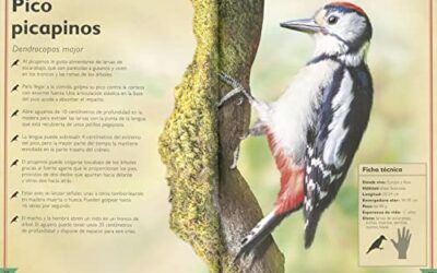 El Majestuoso Libro De Las Aves