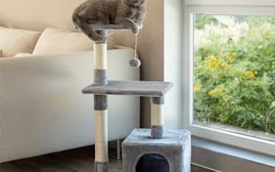 lionto Árbol rascador para Gatos Altura 85 cm, Gris Claro