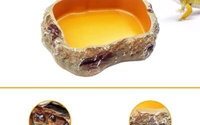 Reptile Growth Terrario Accesorios /2 Pinzas Cuenco Reptile/2 Pinzas de Acero Inoxidable de 27cm Extra largas con una Punta Recta Curvada para Leopardo Gecko dragón Barbudo Lagarto tarántula Tortugas
